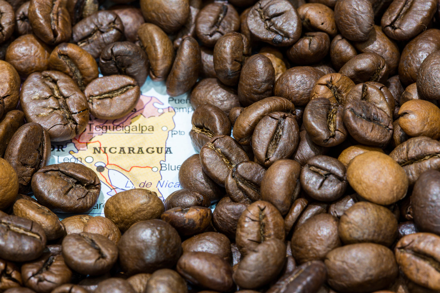 Fabula Coffee