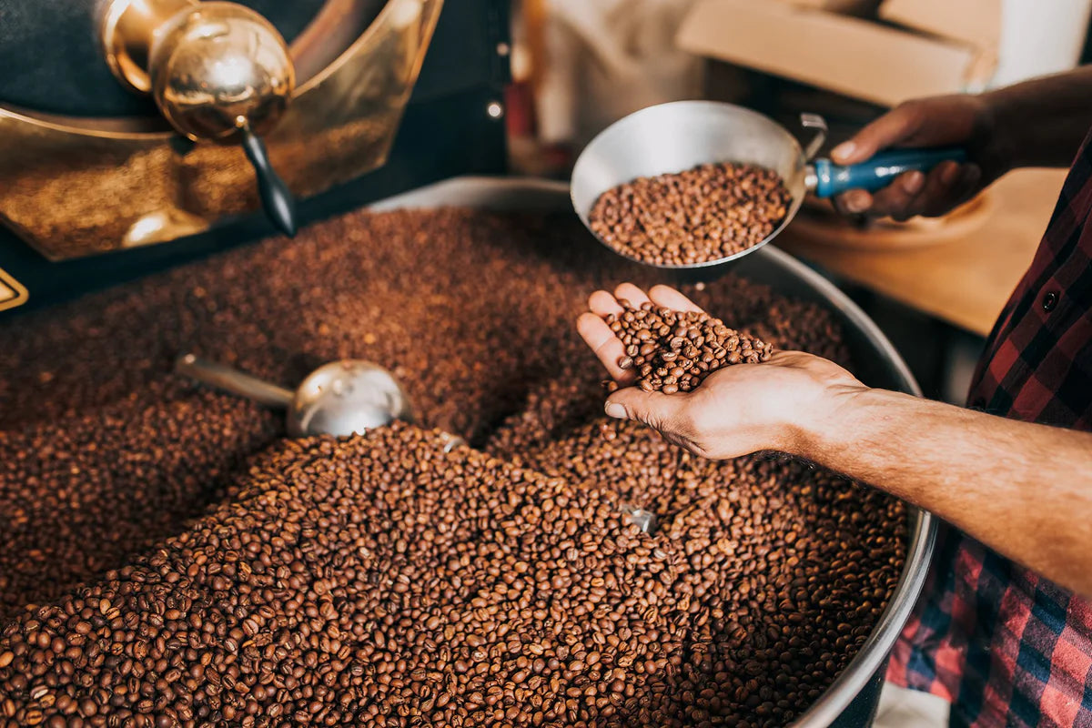 Fabula Coffee