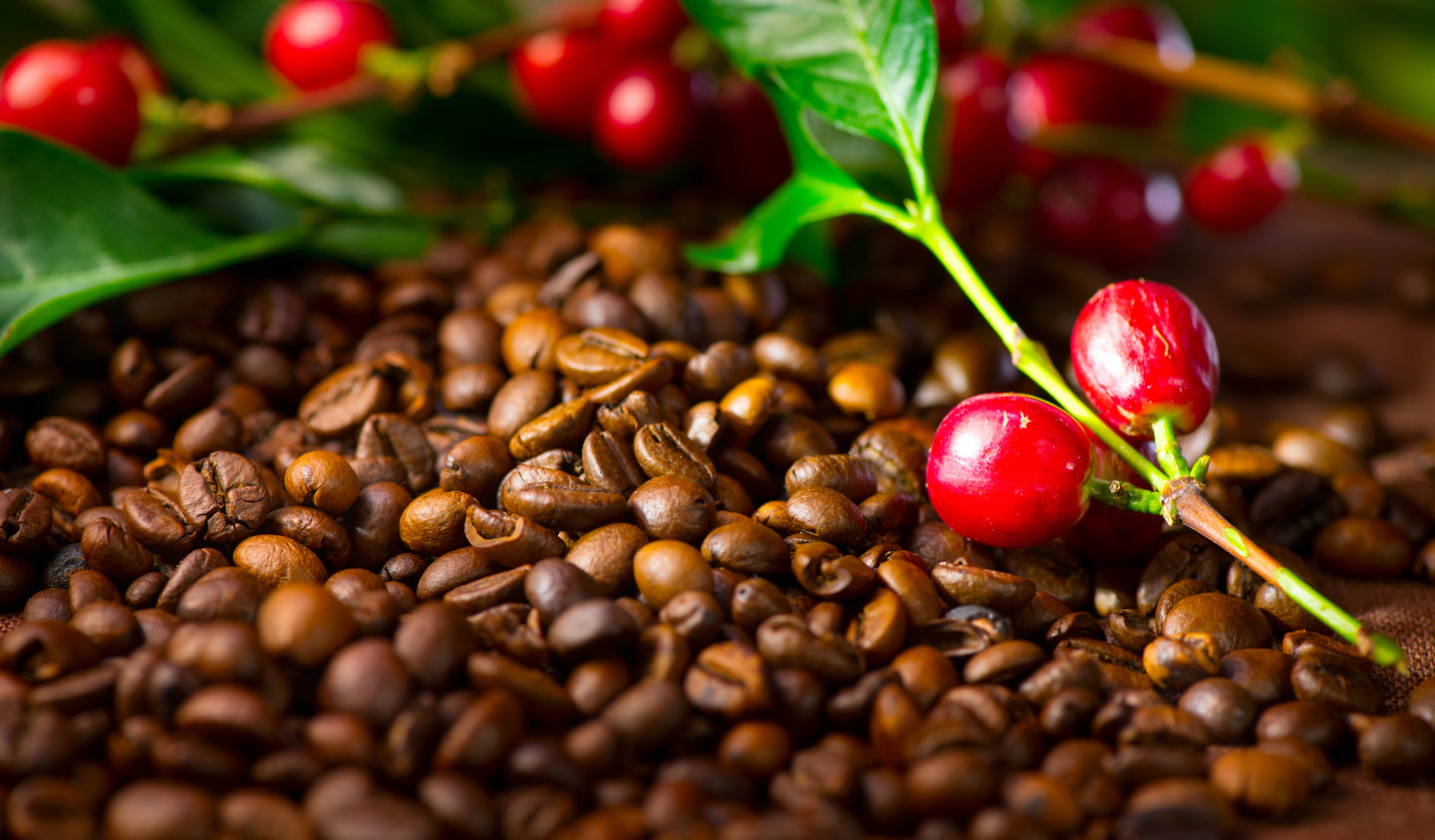 Fabula Coffee