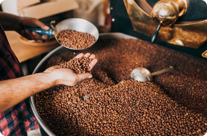 Fabula Coffee