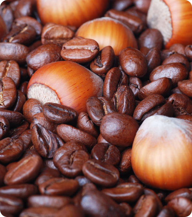 HAZELNUT - The Toasted Classic