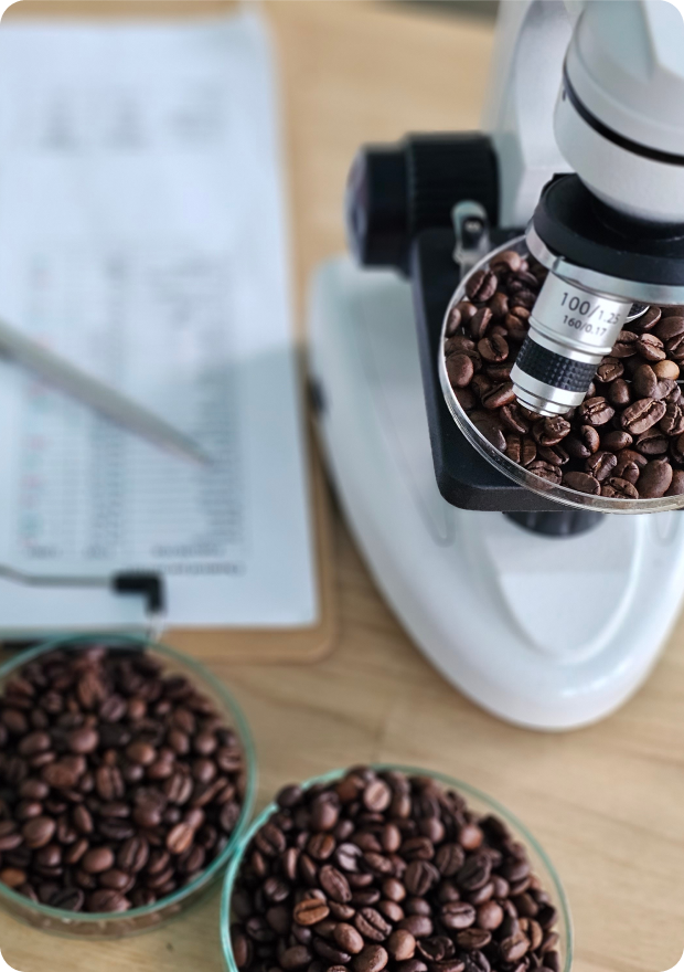 Fabula Coffee