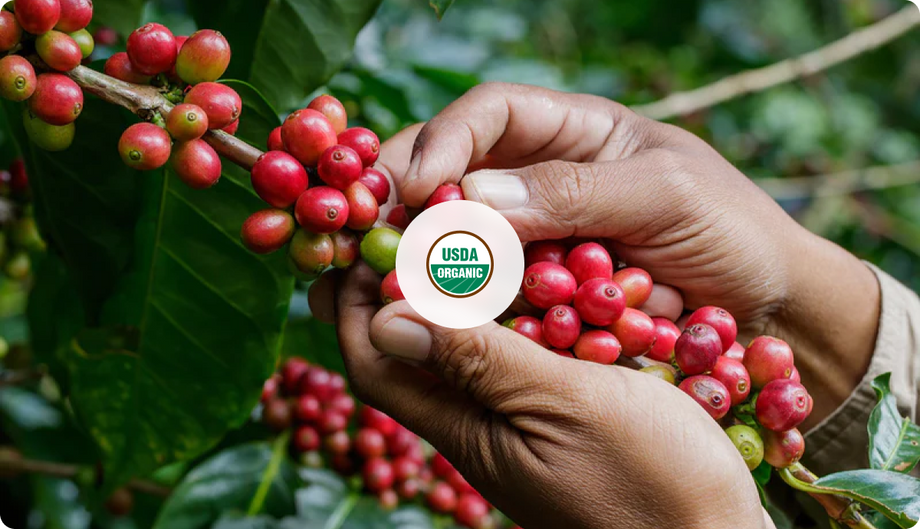 Fabula Coffee