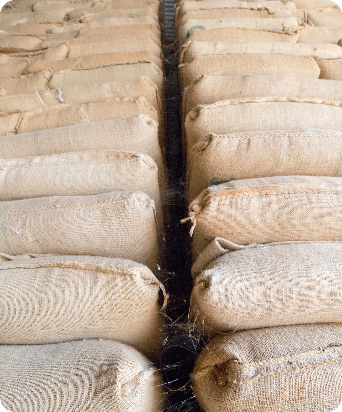 Fabula Coffee