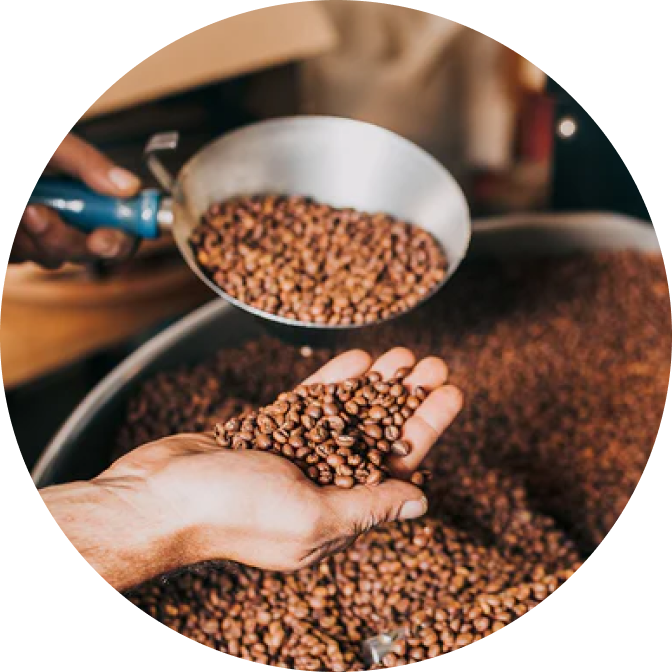 Fabula Coffee